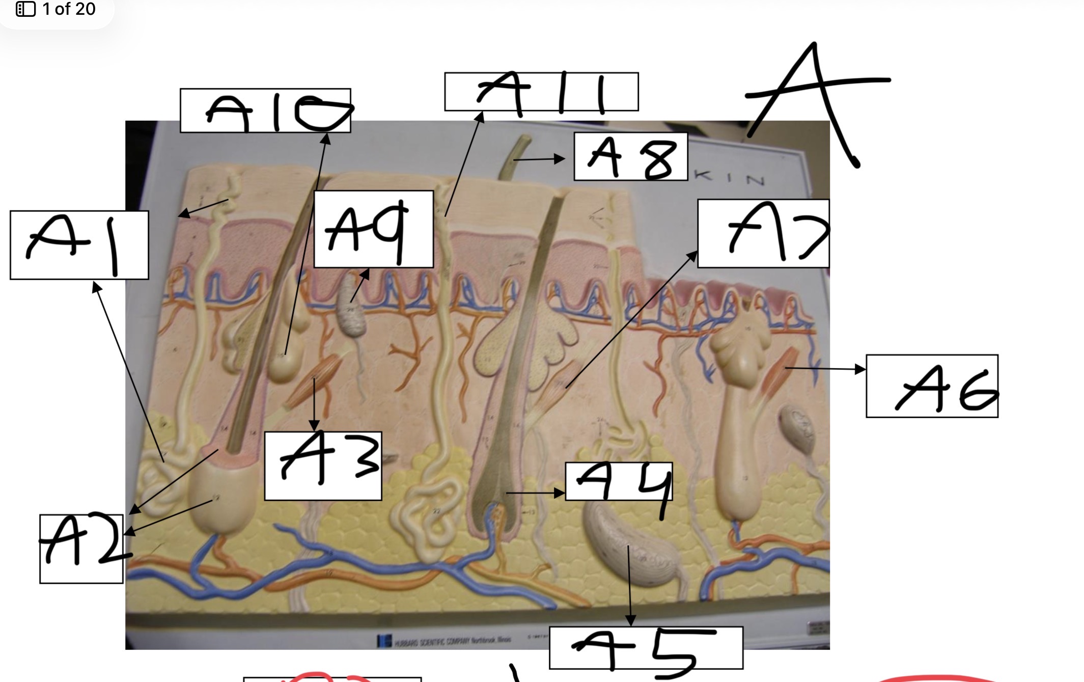 <p>What is A9</p>