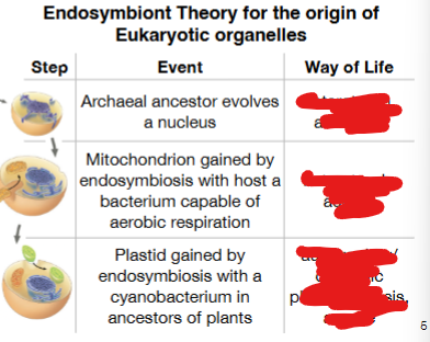 <p>fill in the blanks</p>