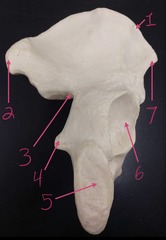<p>#4</p>