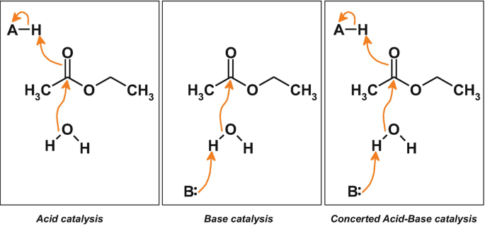 <p>a process where proton transfer facilitates the reaction mechanism by stabilizing charged intermediates. </p><p></p><ul><li><p>a. <strong>General Acid Catalysis</strong>: An amino acid side-chain of the enzyme donates $$H^+$$ to the substrate. Commonly used: Lys, Tyr, Arg, Cys.</p></li><li><p>b. <strong>General Base Catalysis</strong>: An amino acid side-chain of the enzyme abstracts $$H^+$$ from the substrate. Commonly used: Glu, Asp, His.</p></li></ul><p></p><p></p>