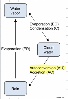 <p>only:</p><ul><li><p>cloud water</p></li><li><p>rain</p></li></ul><p>processes:</p><ul><li><p>condensation</p></li><li><p>evaporation</p></li><li><p>autoconversion - cloud droplets collide → raindrops</p></li><li><p>accretion - falling raindrops collect cloud droplets while falling</p></li><li><p>evaporation</p></li></ul><p></p>