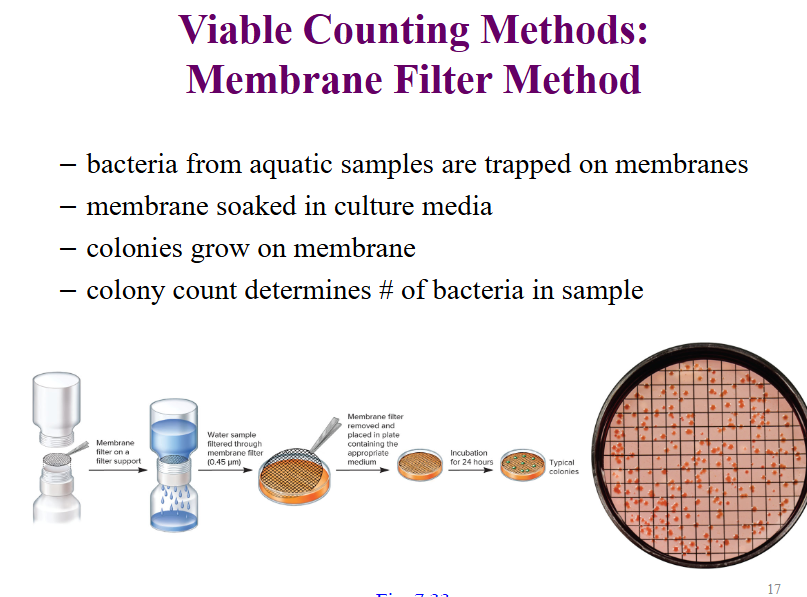 <p>– bacteria from aquatic samples are trapped on membranes</p><p>– membrane <strong>soaked </strong>in culture media</p><p>– <strong>colonies </strong>grow on <strong>membrane</strong></p><p>– colony count determines # of bacteria in sample</p><p></p>