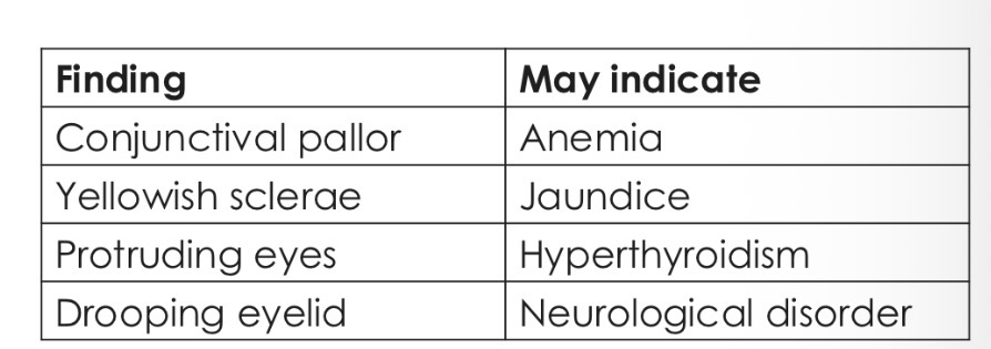 <p>The eyes can show signs of systemic disease</p>
