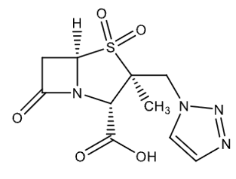 <p>name</p>