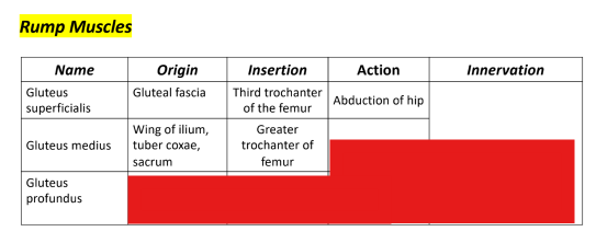 <p>Q: The action of the Gluteus medius is the …… of hip. </p><p>A. Abduction </p><p>B. Extension </p><p>C. Flexion </p><p>D. Adduction</p>