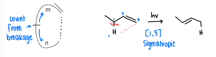 <p>The migration of a sigma bond from one end of a pi system to the other.</p><p>[m,n], where m and n are the number of atoms from the point of breakage to the end of the molecule. m refers to the atoms towards the double bond.</p>