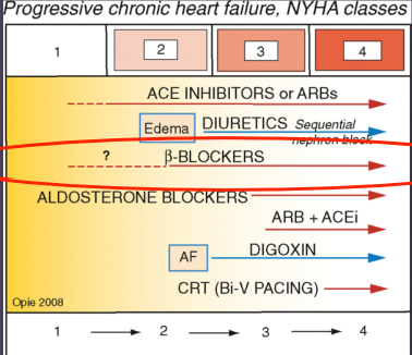<p>Why do beta blockers seem counterintuitive in HF?</p>