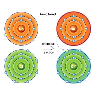 <p>a compound made of cations and anions held together by electrostatic attraction (usually between metals and nonmetals)</p>