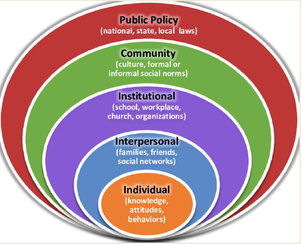 <ul><li><p>individual (knowledge, attitudes, behaviors)</p></li><li><p>interpersonal (families, friends, social networks)</p></li><li><p>institutional (school, workplace, church, organizations)</p></li><li><p>community (culture, formal or informal social norms)</p></li><li><p>public policy (national, state, local laws)</p></li></ul><p></p>