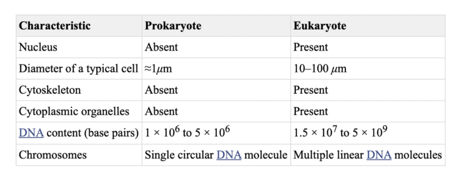 <p>Prokaryotes - lack membrane bound organelles</p><p>Eukaryotes - contain membrane bound organelles</p><p></p>