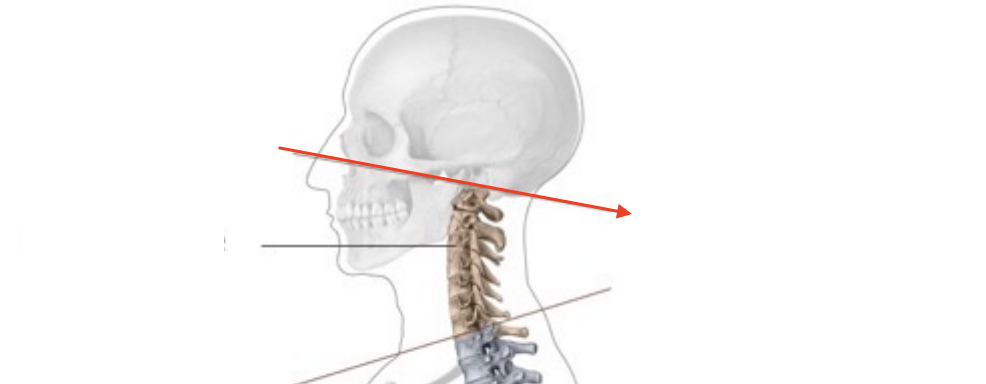 <p>What is this structure?</p>