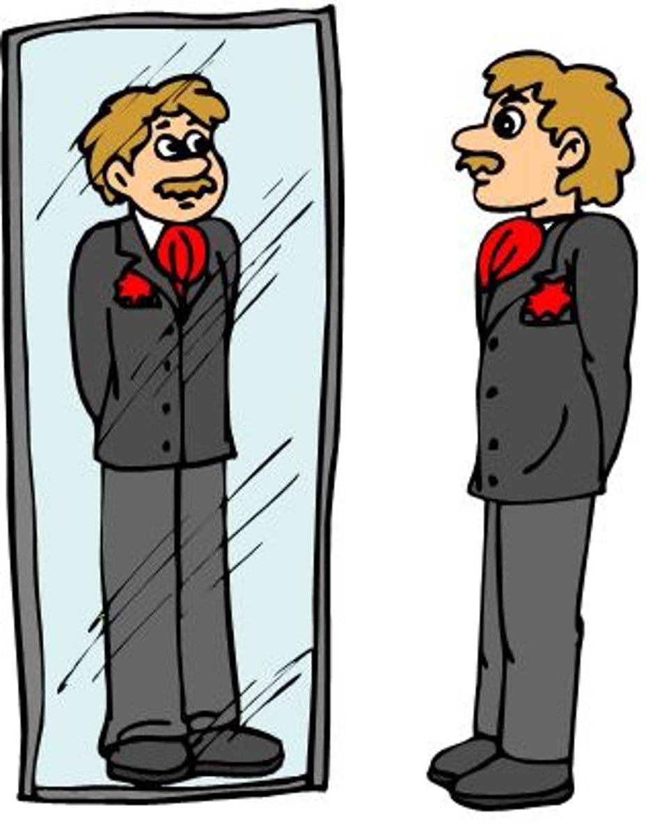<p>A surface of glass that reflects a clear image.</p><p>Example: He looked in the bathroom mirror while shaving.</p>