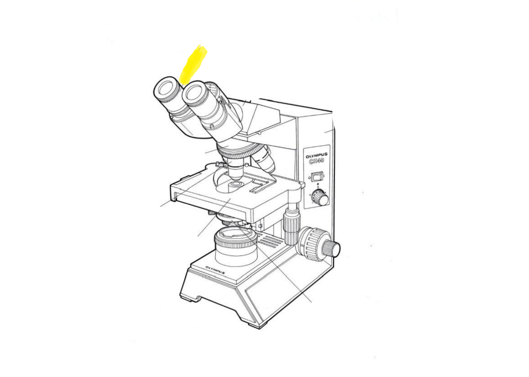 <p>Label the part of the microscope highlighted in yellow</p>