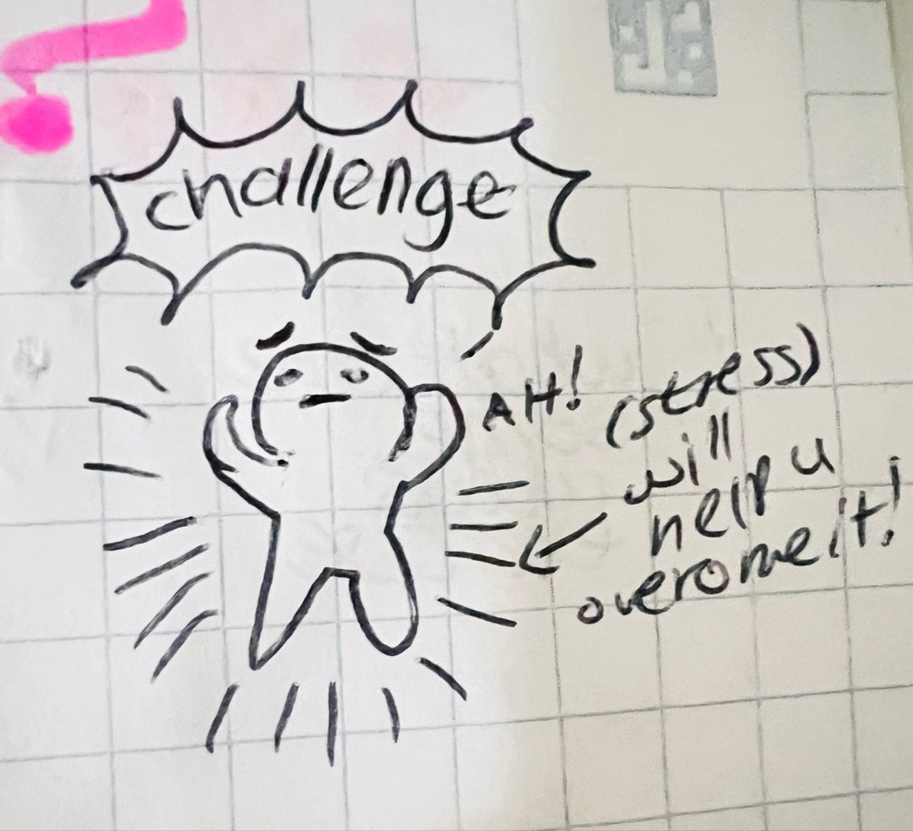 <p>physical and emotional response to pressure in challenging situations</p>