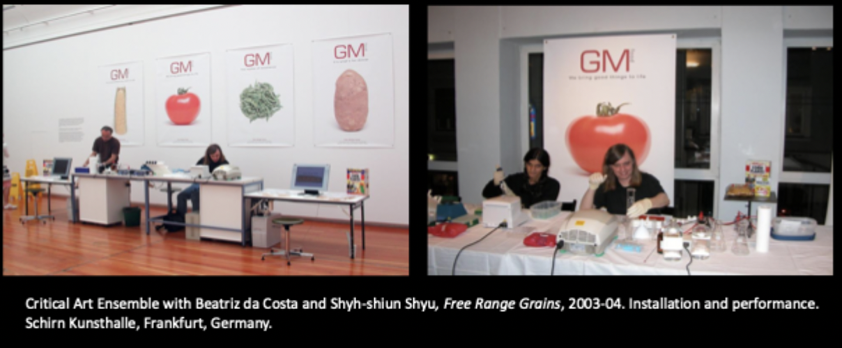 <p>Critical Art Ensemble with Beatriz da Costa and Shyhshiun Shyu, Free Range Grains, 2003-
04.</p>