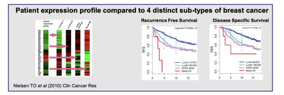 <ul><li><p>Provides a <strong>prognostic score (0–100)</strong></p><ul><li><p>Predicts <strong>risk of recurrence (ROR) over 10 years</strong></p></li></ul></li><li><p>Compares patient gene expression to <strong>4 breast cancer subtypes:</strong></p><ul><li><p>Luminal A</p></li><li><p>Luminal B</p></li><li><p>HER2-enriched</p></li><li><p>Basal-like</p></li></ul></li><li><p>Correlates with outcomes:</p><ul><li><p><strong>Recurrence-free survival</strong></p></li><li><p><strong>Disease-specific survival</strong></p></li></ul></li><li><p>Enables <strong>individualised (personalised) treatment decisions</strong></p></li></ul><p></p>