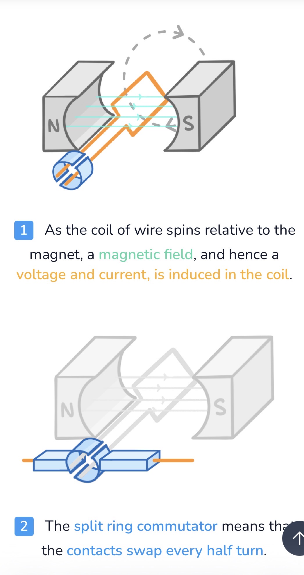 <p><strong><span>1</span></strong><span>As the coil of wire spins relative to the magnet, a </span><strong>magnetic field</strong><span>, and hence a </span><strong>voltage and current, is induced in the coil</strong><span>.</span></p><p>2The split ring commutator means that the contacts swap every half turn.</p><p><strong><span>3</span></strong><span>This means that they produce a </span><strong>direct potential difference</strong><span> and hence a </span><strong>direct current (d.c.)</strong><span>. It's called </span><strong>direct</strong><span> </span><strong>current</strong><span>because the </span><strong>current is always flowing in the same direction</strong></p><p><strong><span>4</span></strong><span>As the coil rotates faster, the </span><strong>peaks of the oscillations get larger</strong><span> and </span><strong>more frequent</strong><span>.</span></p>