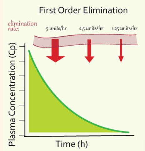 <p>A <strong>constant fraction (≈50%)</strong> of the drug is eliminated per unit time the amount eliminated <span style="color: yellow;"><strong>depends on the plasma concentration</strong>.</span></p><ul><li><p>Half-life is constant and concentration falls <strong>exponentially</strong>. </p></li><li><p><span style="color: rgb(14, 249, 62);">Applies to nearly all drugs.</span></p></li></ul><p></p>