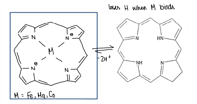 <p>Can give the metal ion other properties.</p><p>They are found in many metalloproteins.</p>