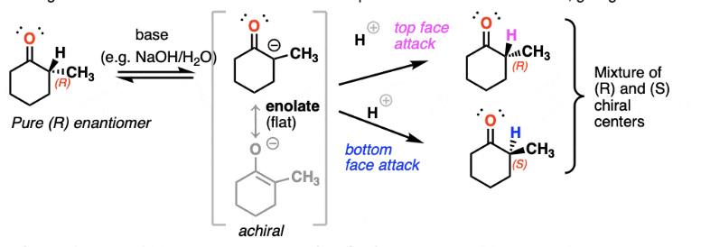 <p>the process where an optically active carbonyl compound with a chiral (alpha) -carbon converts into a 50/50 mixture of enantiomers</p>