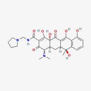 <p>Tetracycline prodrug </p>