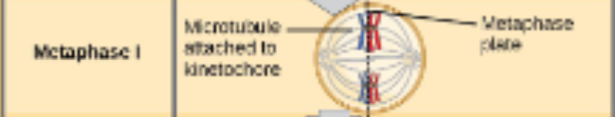 <p>what is the outcome of this event?</p>