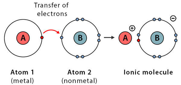 <p>Formed by the complete transfer of electrons between atoms (usually metals and non-metals). The metal loses electrons to become a positive cation, and the non-metal gains them to become a negative anion. The bond itself is the strong electrostatic attraction between these oppositely charged ions.</p>