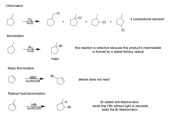<p>Chlorination</p><ul><li><p>Reagents: Cl<sub>2</sub>, hv/Δ (heat)</p></li><li><p>Products: 4 constitutional isomers, methyl chloride (1) or a methyl/chlorine (3)</p></li></ul><p>Bromination</p><ul><li><p>Reagents: Br<sub>2</sub>, hv/Δ (heat)</p></li><li><p>Product: Stable tertiary radical (selective) → major product - Methyl/Bromine on same carbon</p></li></ul><p>Allylic Bromination</p><ul><li><p>Reagent: NBS, hv/ROOR</p></li><li><p>Product: Alkene does not react, Br replaces H</p></li></ul><p>Radical Hydrobromination</p><ul><li><p>Reagents: HBr, hv/ROOR</p></li><li><p>Products: Br added anti-Markovnikov</p></li></ul><p></p>