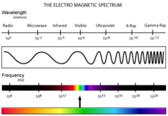 <p>form of energy that exhibits wavelike behavior as it travels through space such as light</p>