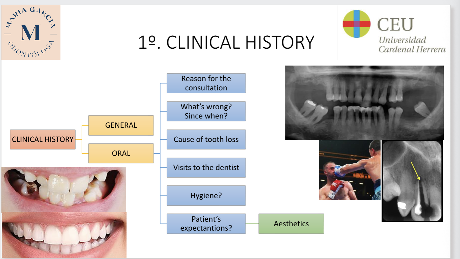 <p>Clinical history</p>