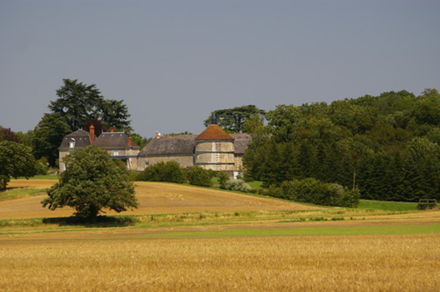 <p>an estate granted to a vassal by a lord under the feudal system in medieval europe</p>