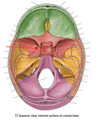 <p>What is the red arrow pointing to?</p>