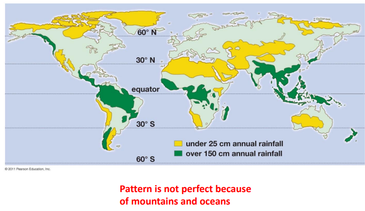 <p>Coriolis effect</p>