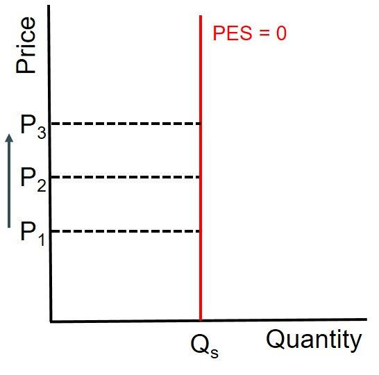 <p>quantity supplied remains the same regardless of price</p>