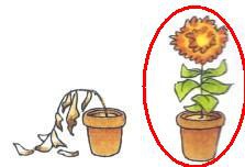 <p>living, not dead</p>