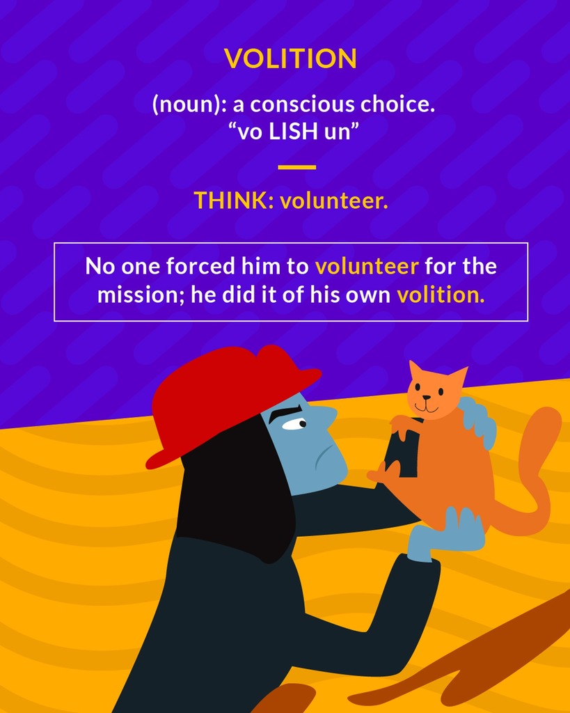 <p>a conscious choice or decision</p>