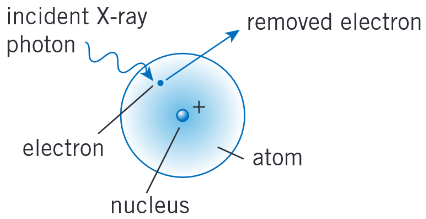 <p>The X-ray photon is absorbed by one of the electrons in the atom. The electron uses this energy to escape from the atom.</p>