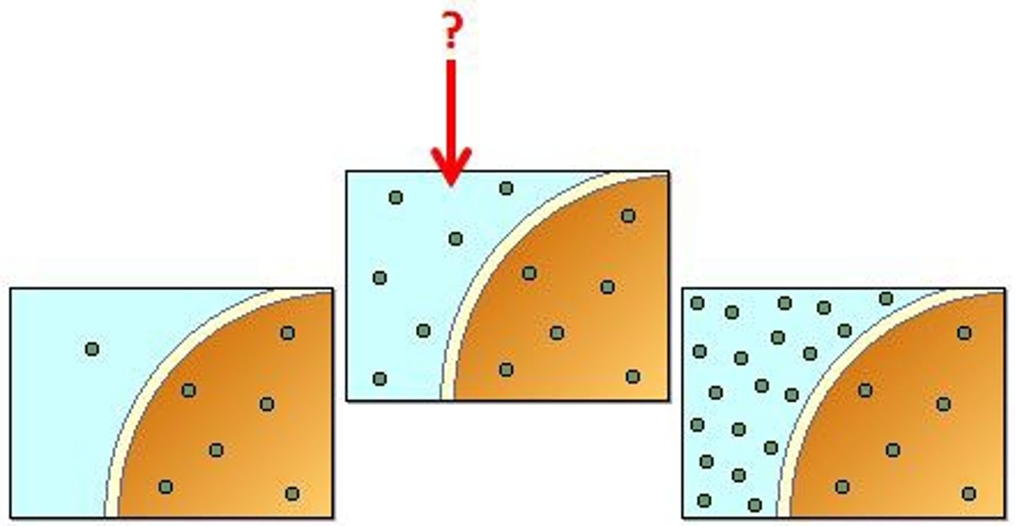 <p>A solution with the same concentration of solutes compared to another.</p>