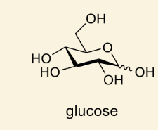<p>glucose</p>
