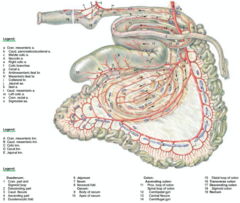 <p>in the supraomental recess</p>