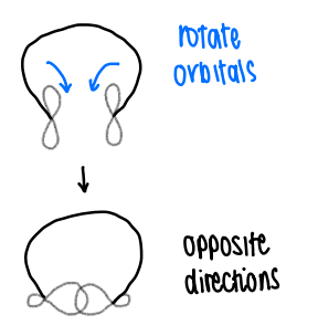 <p>The orbitals rotate in different directions to overlap. </p>