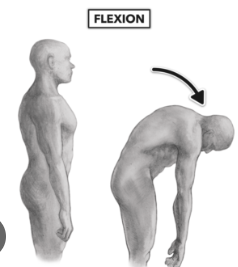 <p><strong>Neutral back position</strong></p>