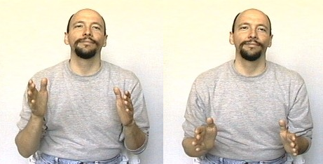 <p>two hands make five palms facing each other and move downward like outlining an person’s torso</p>