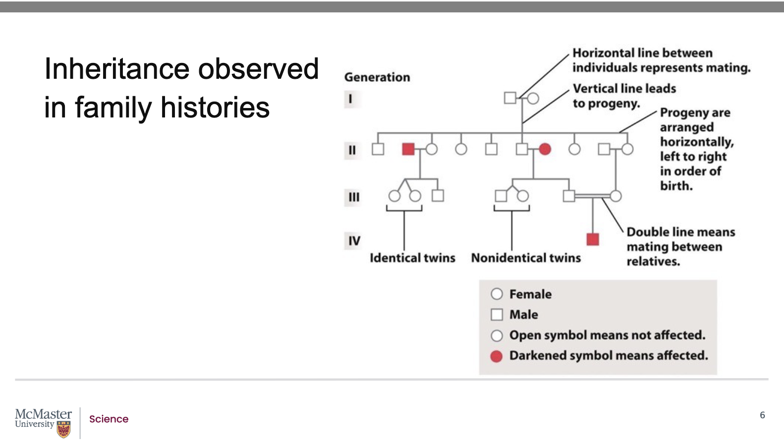 <p><strong>Back (Answer):</strong></p><ul><li><p>Mendel used <strong>pea plants</strong> because they:</p><ul><li><p>Produce <strong>many offspring</strong></p></li><li><p>Can be <strong>bred on purpose</strong> to observe traits</p></li></ul></li><li><p>Studying humans is more difficult because:</p><ul><li><p>Humans have <strong>few offspring</strong></p></li><li><p>It is <strong>unethical</strong> to ask people to breed for experiments</p></li></ul></li><li><p>To overcome these limits, geneticists:</p><ul><li><p>Study <strong>family history</strong></p></li><li><p>Create a <strong>pedigree (family tree)</strong></p></li></ul></li><li><p>Pedigrees allow scientists to:</p><ul><li><p><strong>Visually track traits</strong> across generations</p></li><li><p>Study <strong>inheritance patterns</strong> without unethical experiments</p></li></ul></li></ul><p></p>