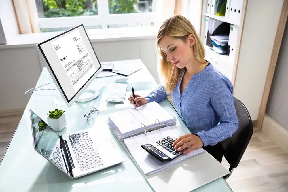 <p><strong>Accountant <em>(noun)</em></strong></p>