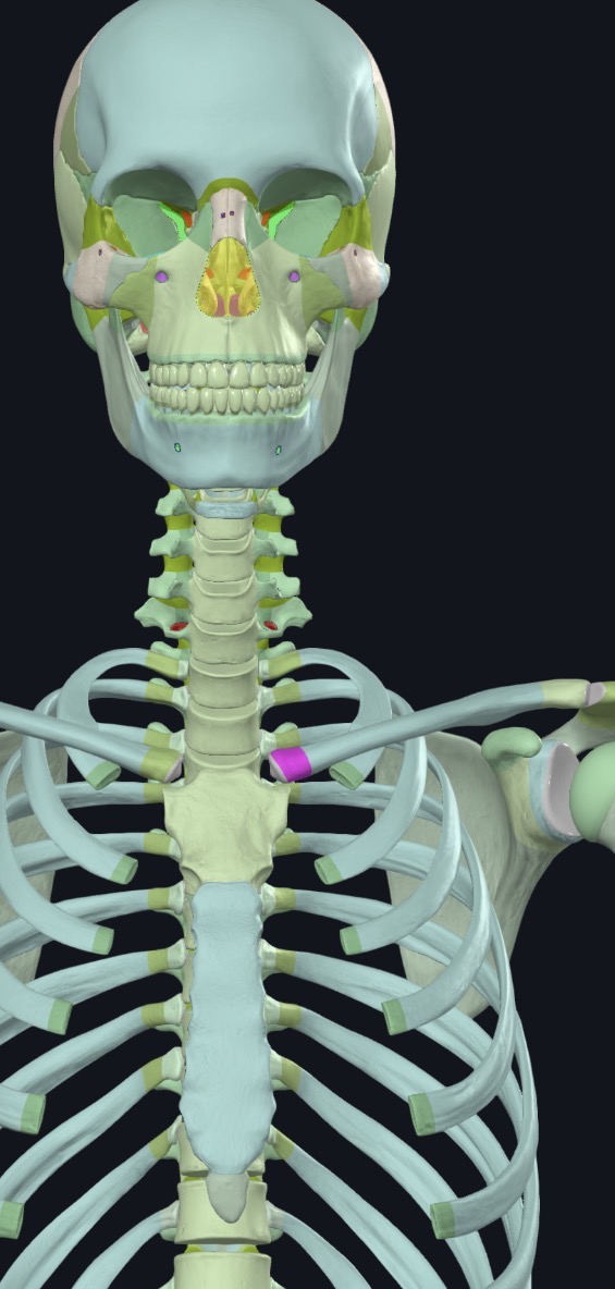 <p>what is this?</p>