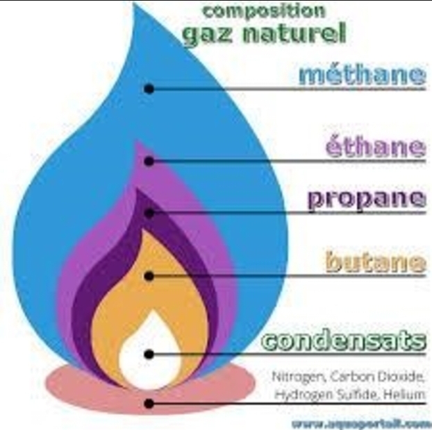 <p>Méthane: Le composant principal du gaz naturel . C'est la gaz à effet de serre plus puissant.</p><p>Buthane: Gaz en bouteille utilisé pour la cuisine ou les petits chauffages.</p><p>Propane:Gaz en réservoir utilisé pour les barbecues et le chauffage.</p><p>Ethan: Gaz contenu dans le gaz naturel, surtout utilisé pour faire du plastique.</p><p></p>