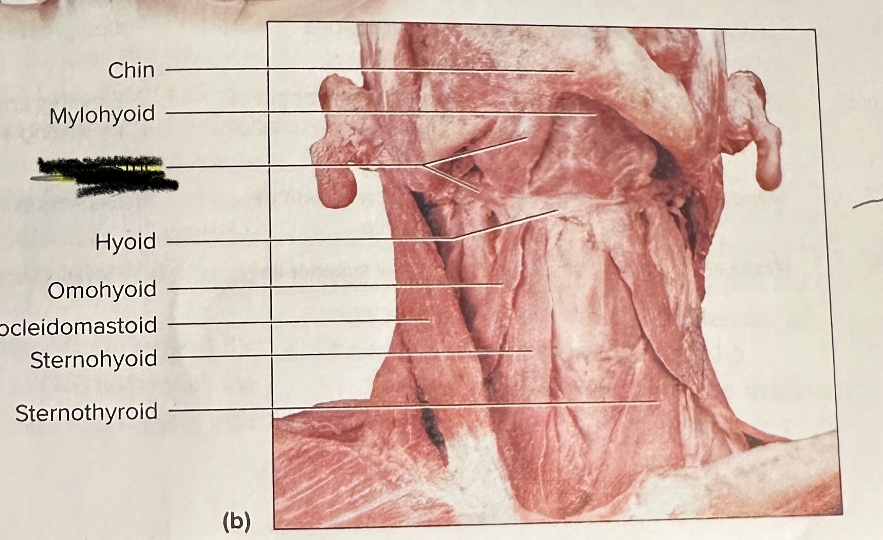 <p>Location crossed out</p>