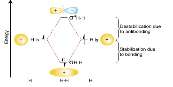 <p>What type of MO is this?  </p>