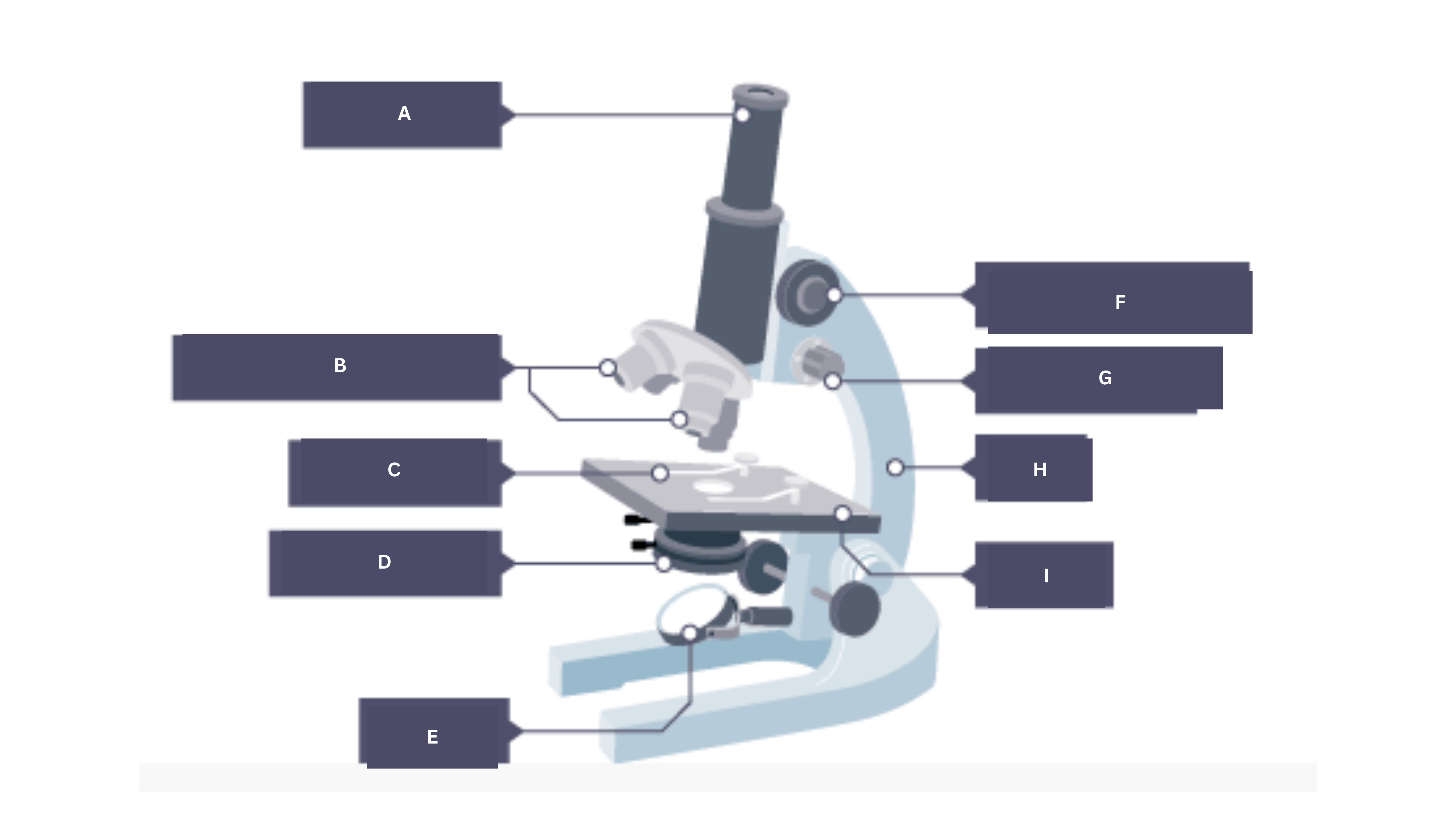 <p>Label the microscope.</p>